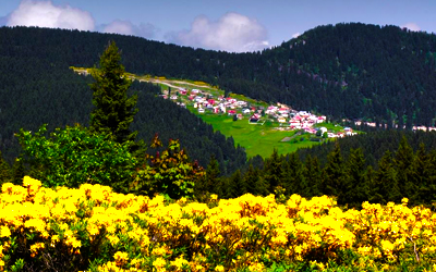 Giresun Yaylaları
