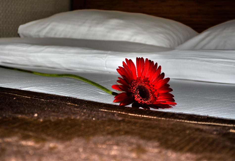 Giresun Serenti Pamuk Otel Çift Kişilik Odalar